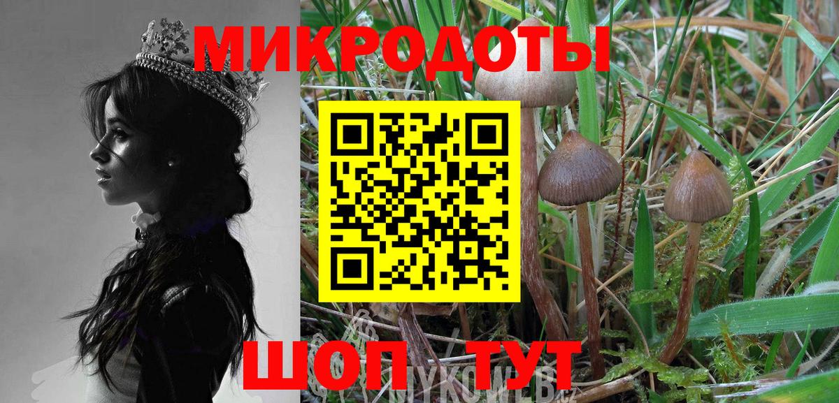 Псилоцибиновые грибы GOLDEN TEACHER Строитель