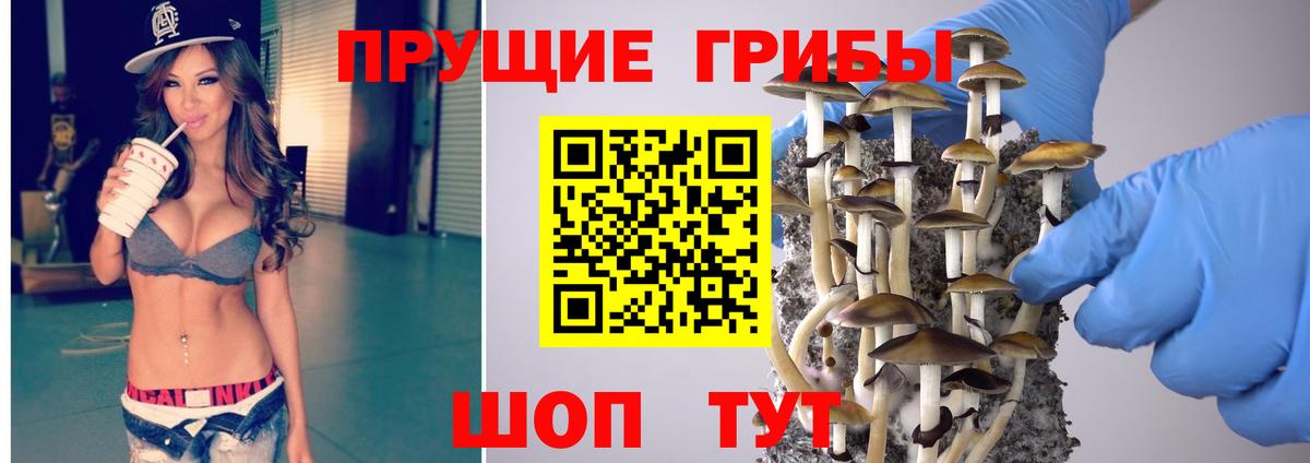 Псилоцибиновые грибы MAGIC MUSHROOMS  Псилоцибиновые грибы ЛСД  Строитель  Вход с VPN 